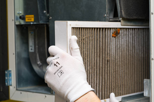 Best Dryer Vent Cleaning Services  in Vergennes, VT